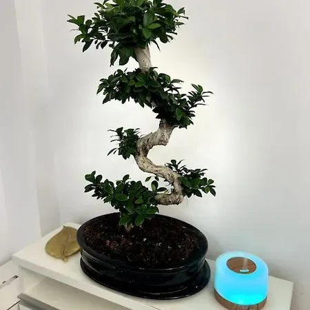 Romeo's Beachfront By Loft, Opera And White Tower Lägenhet *