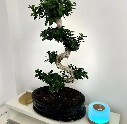 Romeo's Beachfront By Loft, Opera And White Tower Appartement *